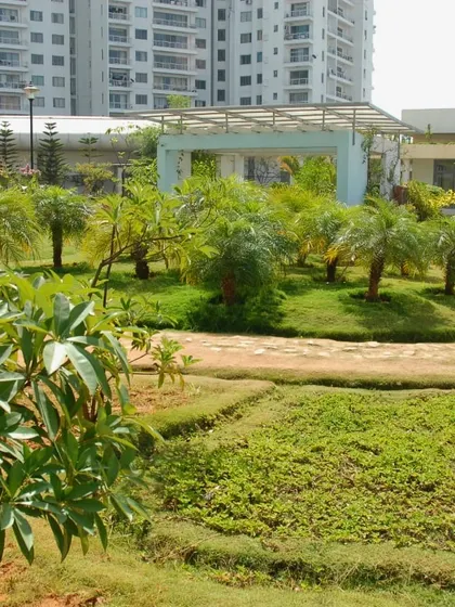 A landscaped park in a large apartment complex, with winding dirt paths, palm trees, and a covered seating area. This project focuses on creating a naturalistic recreational space for residents.