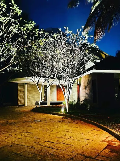 The warm lighting on the driveway and entrance trees creates a welcoming first impression for visitors arriving at night.