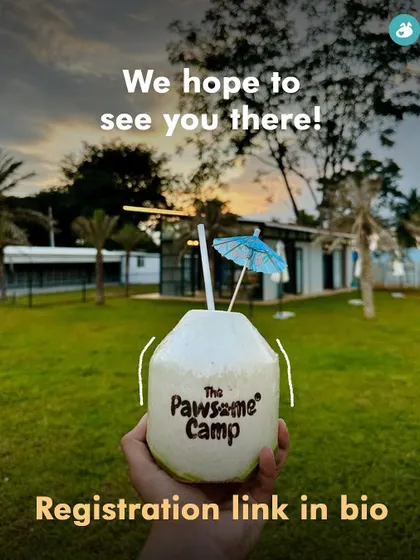 We hope to see you at our next event. A refreshing coconut water from The Pawsome Camp, one of our favorite venues for water-based activities.