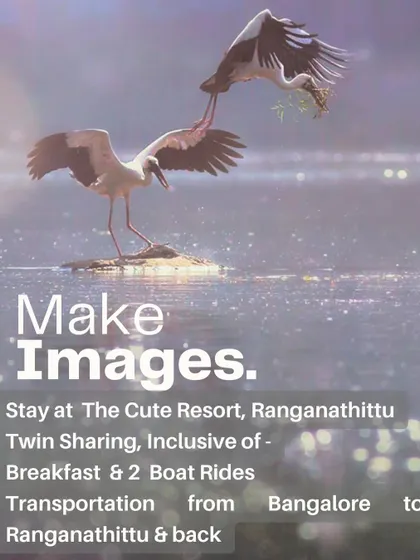 All logistics are taken care of so you can focus on making images. The workshop includes your stay at a comfortable resort in Ranganathittu, breakfast, two boat rides for water-level perspectives, and transportation from Bangalore and back.