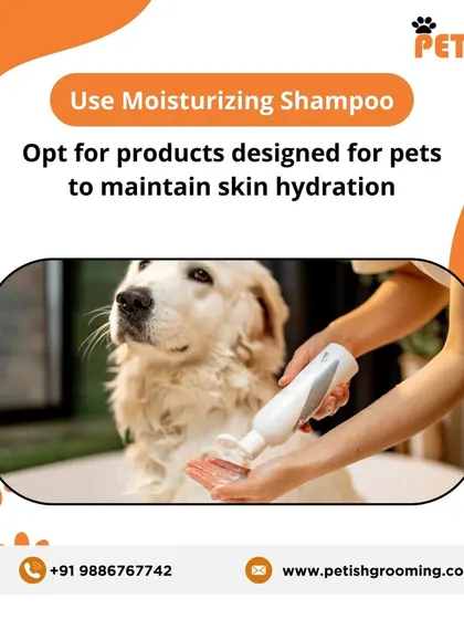 Winter care tip: Use a moisturizing shampoo designed for pets to maintain skin hydration and prevent dryness in cold weather.