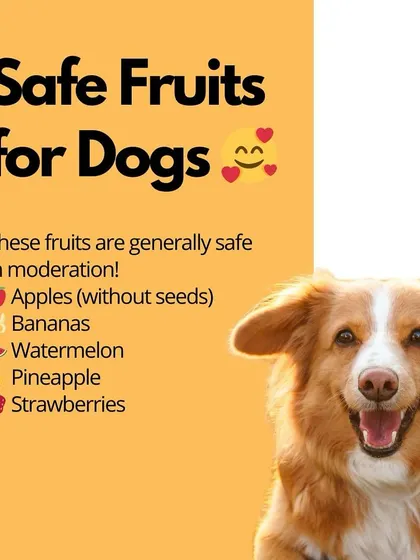 On the bright side, there are many fruits that are safe and healthy for dogs in moderation. This includes apples (without seeds), bananas, watermelon, and strawberries.