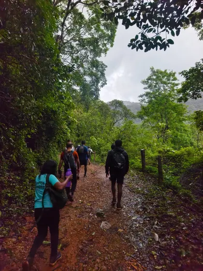 Trekking through a forest path on our offbeat waterfall trek. Our routes take you deep into the heart of nature.
