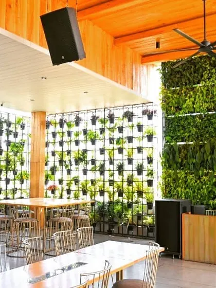 At Rock Salt restaurant and bar, we combined two of our signature solutions. A massive, dense living wall serves as a stunning feature, while an adjacent plant grid wall adds texture and openness, together creating a lush, immersive dining experience with over 7,400 plants.