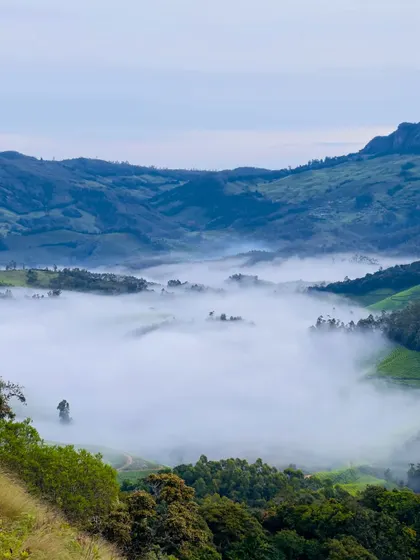 A serene view of the fog-filled valleys of Munnar, showcasing the region's natural beauty.