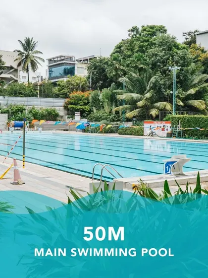 The 50m main pool is the centerpiece of our facility, offering ample space for all our swimmers to train and enjoy the water.