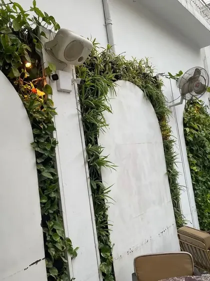A close-up of the climbing plants and integrated lighting along the arched walls.