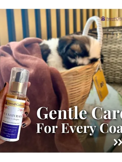A repeat of image 51, this visual emphasizes that our cologne provides "Gentle Care For Every Coat," making it a versatile and essential grooming item.