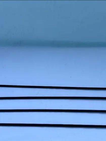 This is my heeling stick. It is not for hitting the dog. It's a lightweight visual guide used to teach a precise heeling position and maintain the dog's attention.