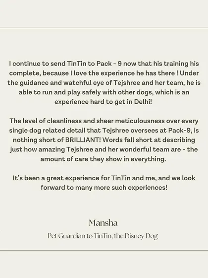 TinTin's guardian praises our facility's cleanliness and the immense care we show for every dog.