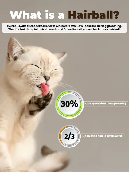 What is a hairball? It's a clump of fur, also called a trichobezoar, that forms when cats swallow loose fur during grooming. Since cats spend up to 30% of their lives grooming, this is a common issue.
