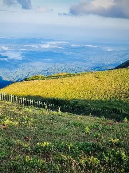 A solo traveler enjoying a moment of peace at Mandalpatti Peak in Coorg. Our trips are perfect for those looking for solitude and stunning landscapes.