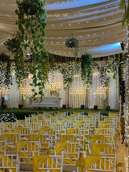 A duplicate of 161, showing the magical wedding aisle.