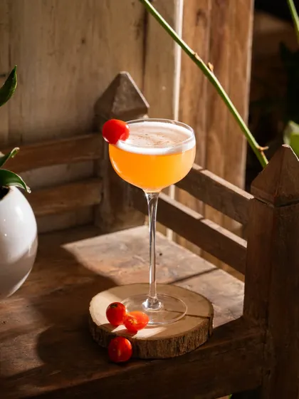 A simple, beautifully lit cocktail on a wooden surface. This shot proves that sometimes, less is more.