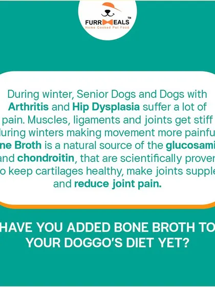 These images are part of series showing happy dogs and the bone broth product, reinforcing its benefits and appeal.
