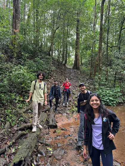 Our trekkers navigating a log bridge over a stream in the dense forests of Kumara Parvatha.