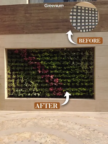 A before and after of a vertical garden installation. I transformed a plain grid wall into a vibrant green feature with a mix of artificial plants, adding natural elegance to this outdoor space.
