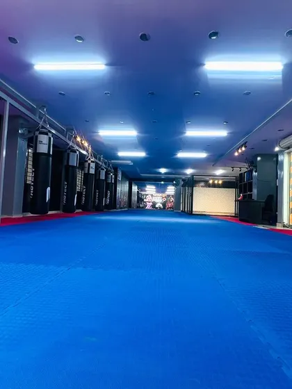 The view from the end of our training hall, showing the scale and professional setup of our dojo.