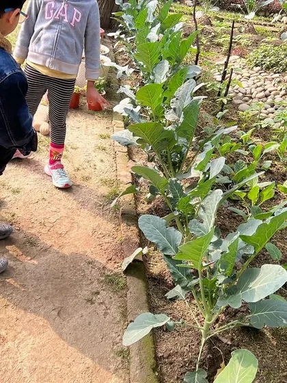 Another shot from our winter camp field trip, where children observed winter vegetables growing.