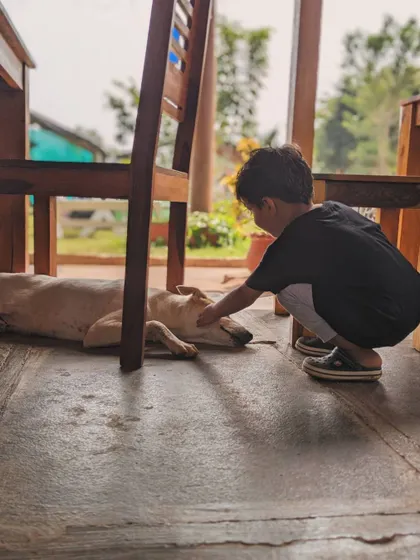 A quiet, gentle moment between a child and a resting dog under a table in our cafe. We create opportunities for positive, supervised interactions.