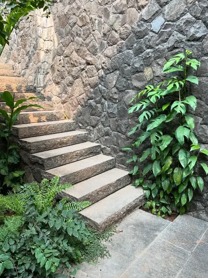 Another view of the stone staircase at our Alibaug project, where the hardscape of the steps contrasts with the soft, wild planting. The design creates a journey through a garden that feels like it is reclaiming the building.
