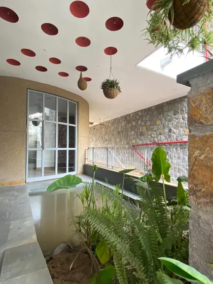 A curved metal and glass pivot door opens onto the indoor pond, which is filled with carefully selected indigenous plants to attract local birds and insects.