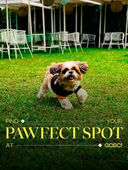 Find your pawfect spot at GCBC. This happy pup is having a great time running around on our lawn.