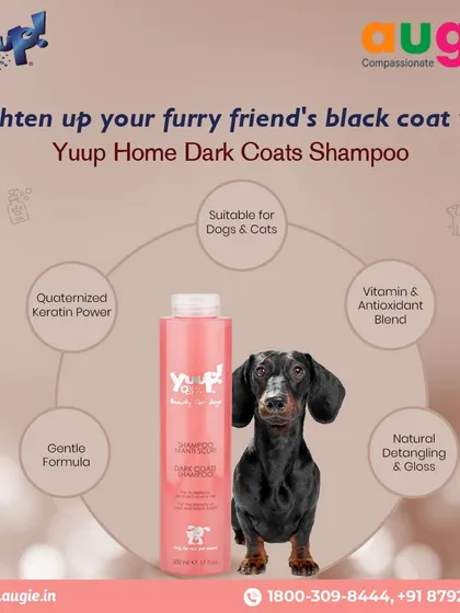 Brighten up your furry friend's black coat with YUUP! Home Dark Coats Shampoo. Its gentle formula contains Keratin and a blend of vitamins to strengthen the coat while providing a natural detangling and gloss.