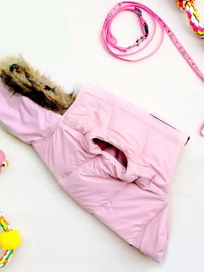 A simple, clean flatlay of a pink dog jacket surrounded by pet toys and a leash. The bright, airy photo clearly showcases the product's design and color.