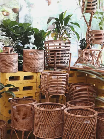 Our collection of wicker planters comes in all shapes and sizes. They are lightweight and add a warm, rustic texture to your indoor jungle.