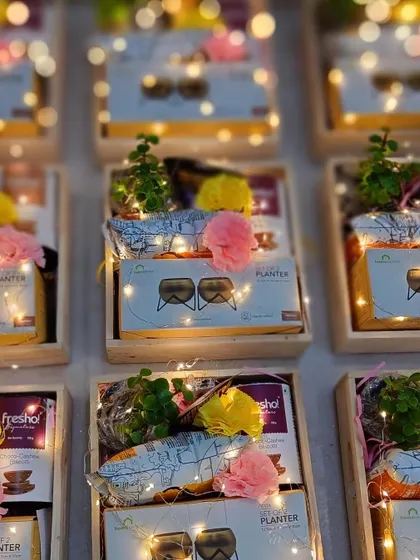 A unique Diwali hamper featuring a mini planter, snacks, and other goodies, all arranged in a pinewood tray with fairy lights.