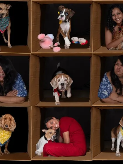 A collage of a fun "in the box" shoot with a group of friends and their six dogs. It's a creative way to capture a large group.