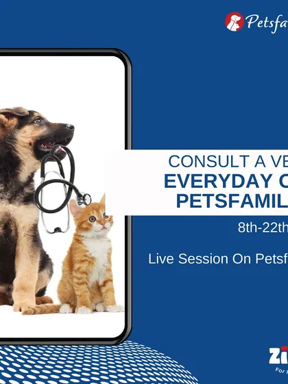 We're making expert advice more accessible. This graphic announces a series of live online vet consultations on Petsfamilia, where pet parents can get their questions answered from the comfort of home.