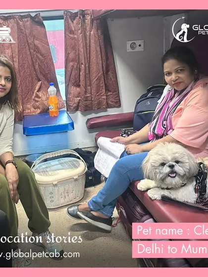 Cleo the Shih Tzu relaxing with her family in a train coupe during their move from Delhi to Mumbai. We help families travel together with their pets, handling all the booking formalities.