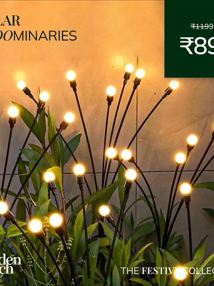 My 'Solar Bloominaries' from the festive collection. These lights mimic fireflies, swaying in the breeze and adding a warm, magical glow among your plants.