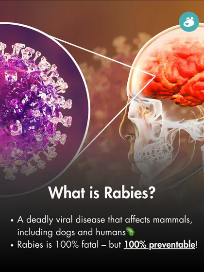 This graphic provides a scientific overview of rabies, explaining that it is a deadly viral disease affecting mammals, including dogs and humans. It reinforces the message that it is fatal but entirely preventable.