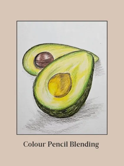 This realistic drawing of an avocado shows excellent color pencil blending techniques to create smooth transitions and a three-dimensional effect.