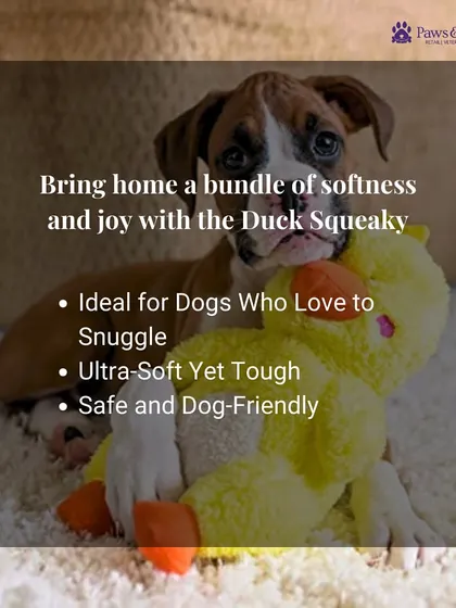 This infographic highlights the benefits of the Duck Squeaky toy. It's ideal for dogs who love to snuggle, ultra-soft yet tough, and made from safe, dog-friendly materials.