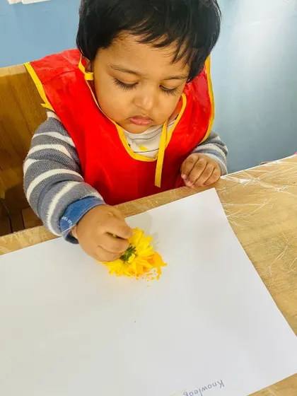 Using a real flower as a paintbrush is a wonderful sensory art experience. This toddler explores texture and color by dabbing a yellow chrysanthemum onto paper.