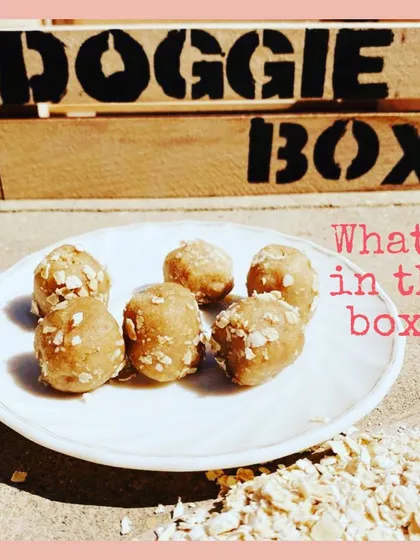 I call these 'Goofballs'. They are yummy, healthy treats made with just oats and our dog-safe peanut butter. My dogs are addicted to them.