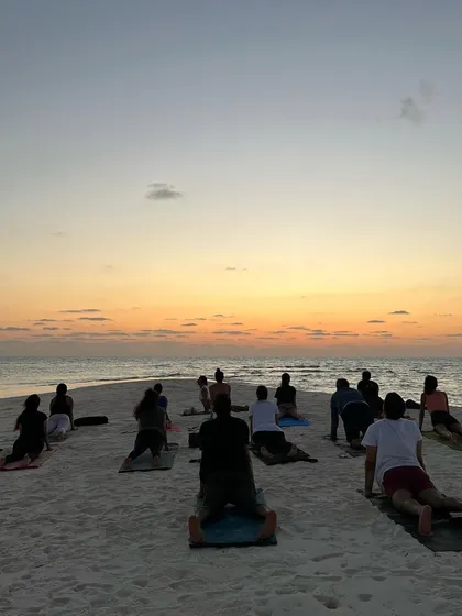 Finding our flow as day turns to dusk. This picture shows a group practicing Bhujangasana or Cobra Pose, energizing the spine while staying connected to the calm evening energy.