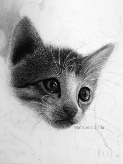 A work-in-progress shot of the kitten's face emerging from the paper, showcasing the layering technique.