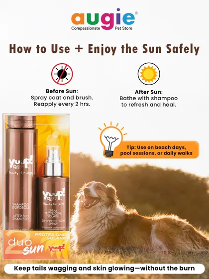 Here's how to enjoy the sun safely with your pet. Before sun exposure, spray their coat and reapply every 2 hours. After a day outside, bathe them with the after-sun shampoo to refresh and heal their skin.
