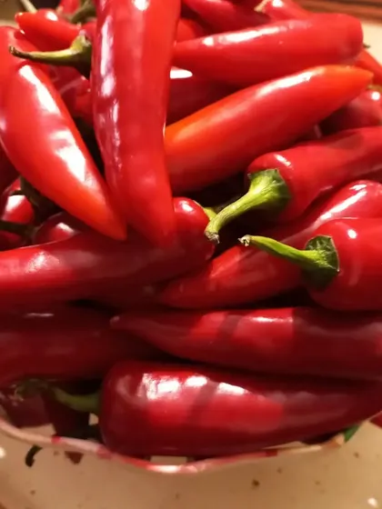 Another shot of the fresh, bright red chillies I use for my pickles. Quality ingredients are the first step to a quality product.
