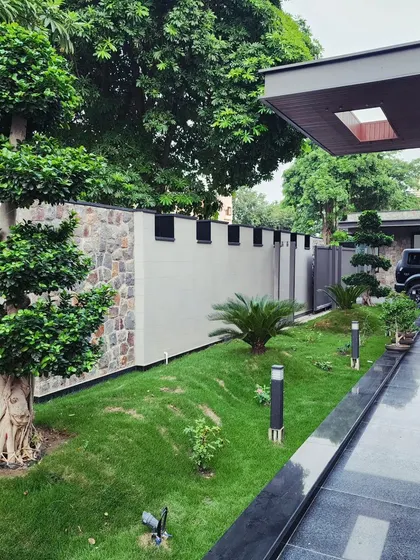 A view of the driveway and entrance garden at the G-Town Wines residence, featuring a mature Ficus topiary, Cycads, and a perfectly manicured lawn to welcome visitors.