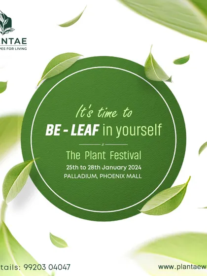 A simple but powerful message for one of our festivals: "It's time to BE-LEAF in yourself." We see plants as a symbol of personal growth and potential.