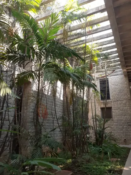 An internal courtyard at IIM Bangalore, where palm trees and other tropical plants thrive under a slatted roof, creating a living, breathing heart within the building.