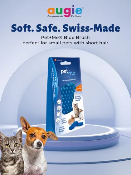 The Pet+Me Blue Brush is soft, safe, and Swiss-made. It's the perfect grooming tool for small pets with short hair, providing a gentle yet effective way to remove loose fur.