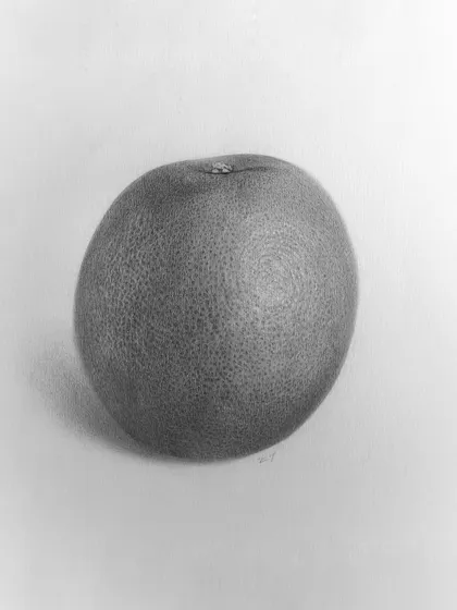 A study of an orange, where the focus was purely on rendering the dimpled texture of the peel.