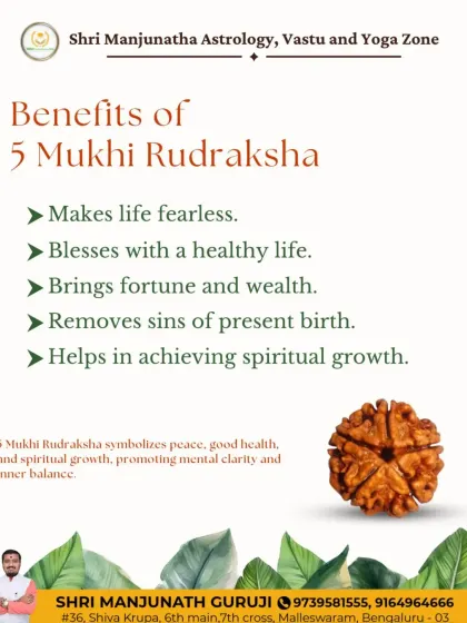 The 5 Mukhi Rudraksha is a powerful tool for spiritual growth and well-being. It helps make life fearless, blesses you with good health, and removes sins, promoting mental clarity and inner balance.